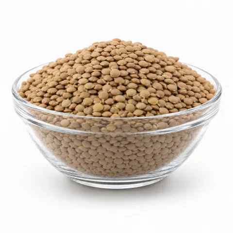 العدس